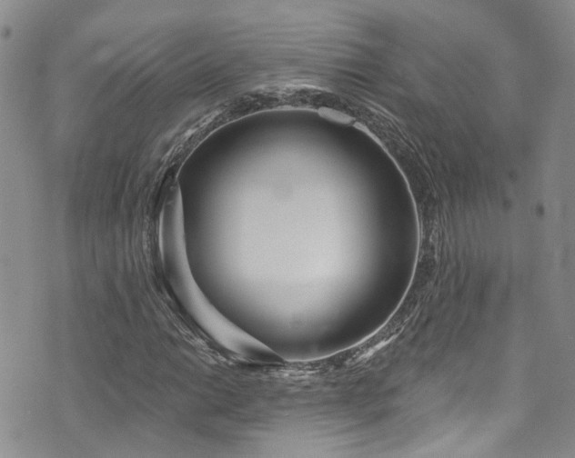 X0000073731014200608031324