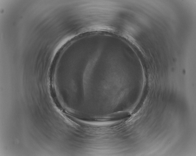 X0000073731024200608031324