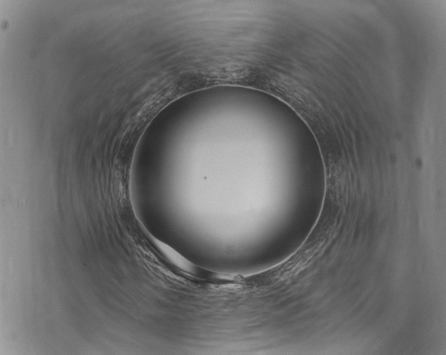X0000073731058200608031324