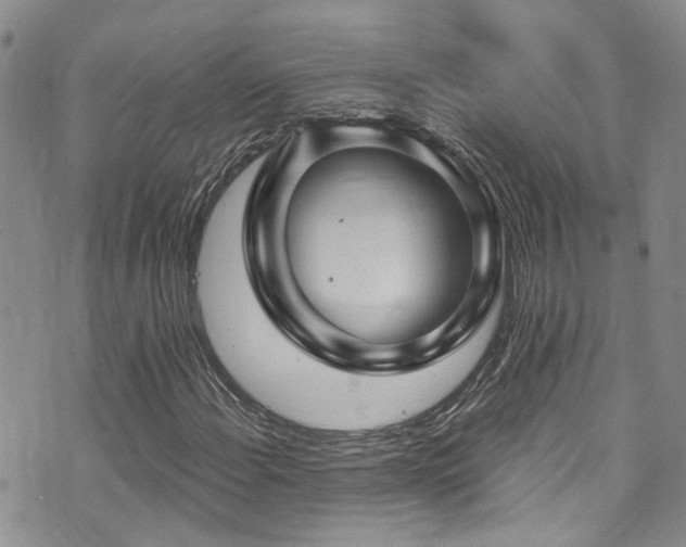 X0000073731108200608031323