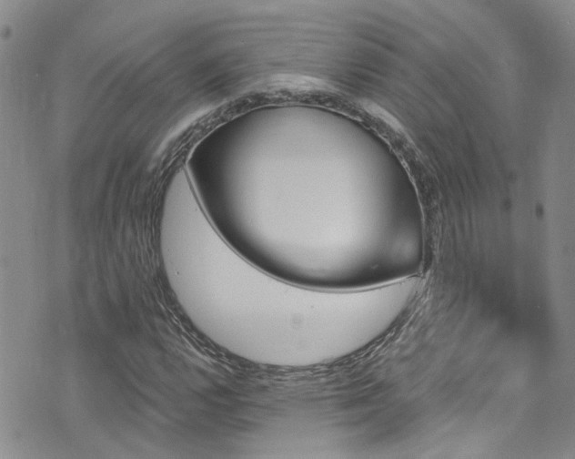 X0000073731112200608031323