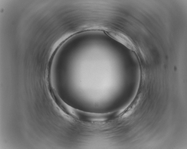 X0000073731149200608031323