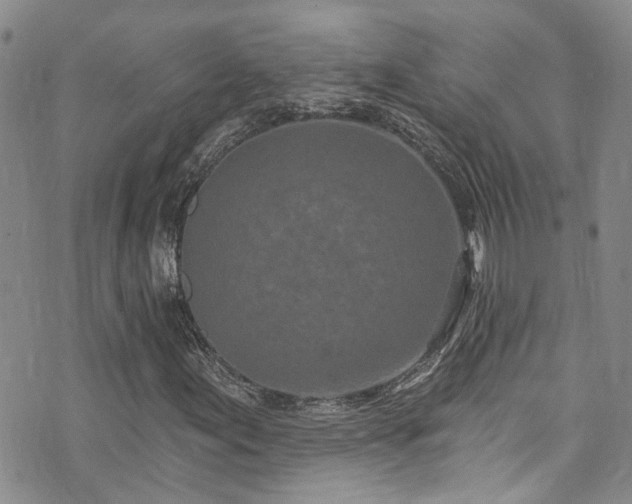 X0000073731155200608031322