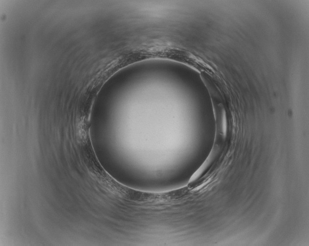 X0000073731156200608031322