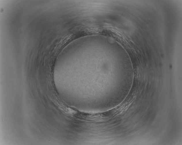 X0000073731201200608031321