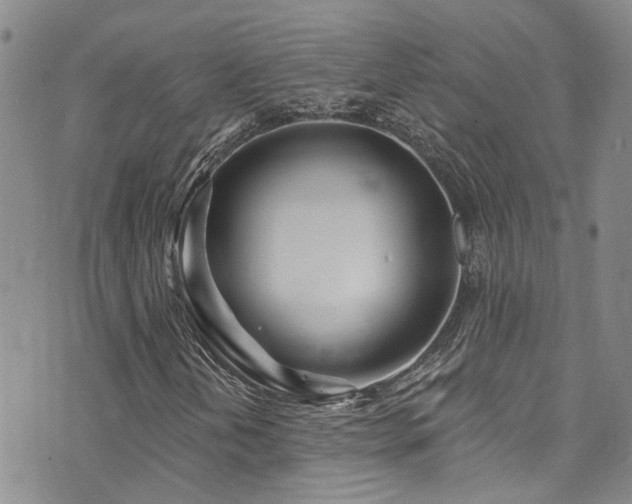 X0000073731202200608031321