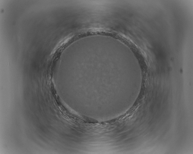 X0000073731207200608031321