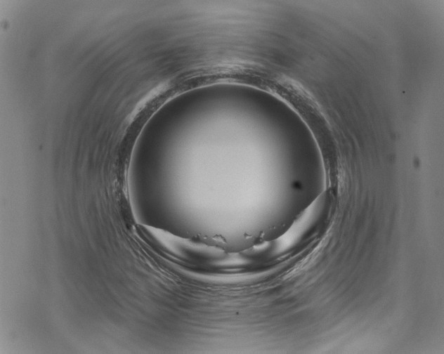 X0000073731210200608031321