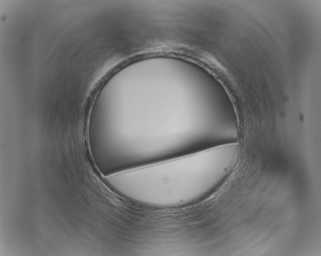 X0000073731216200608031321