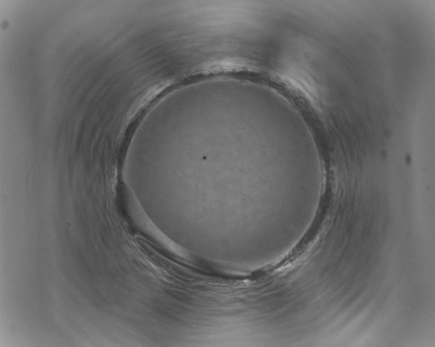 X0000073731217200608031321