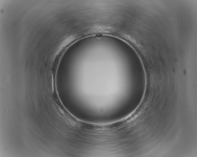 X0000073731219200608031321