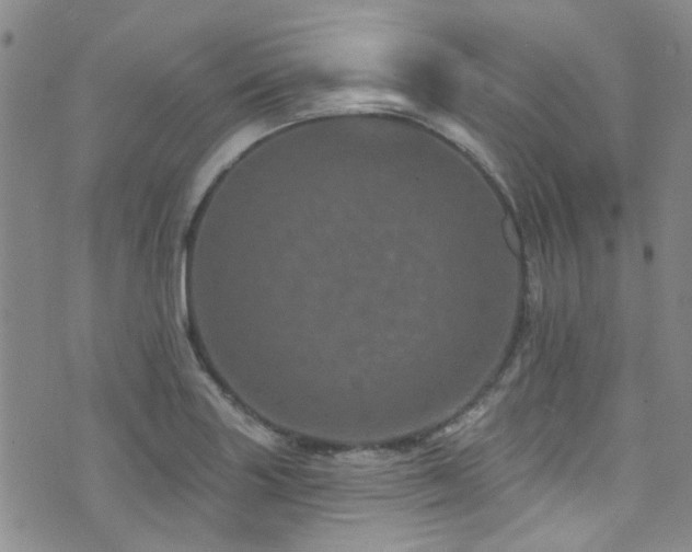 X0000073731227200608031321