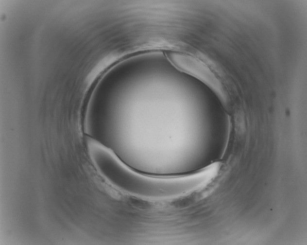 X0000073731230200608031321