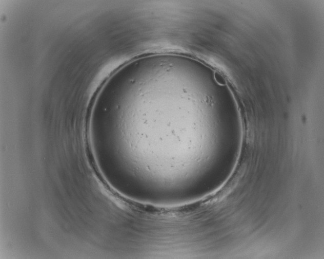 X0000073731231200608031321