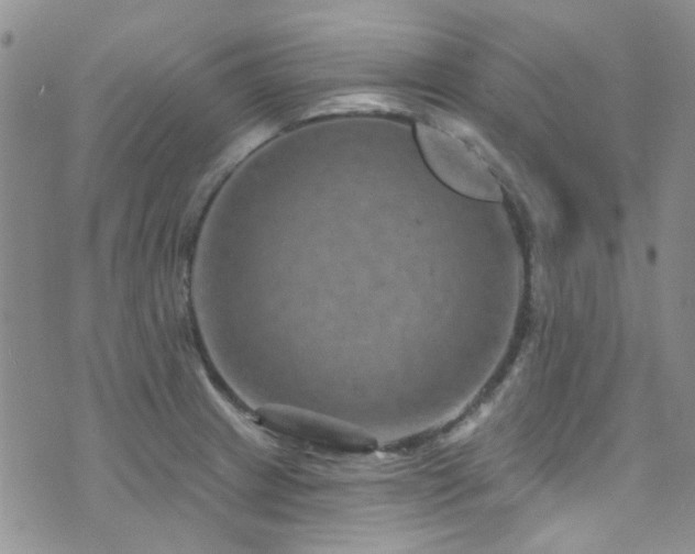 X0000073731233200608031321