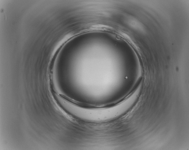 X0000073731235200608031321