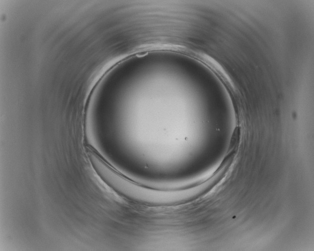 X0000073731244200608031321