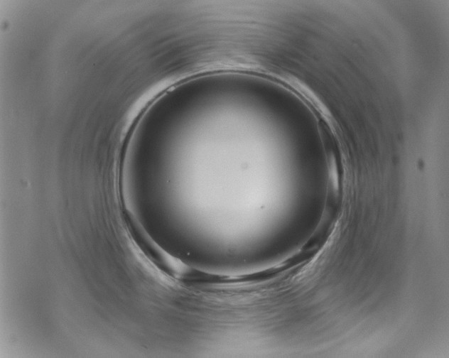 X0000073731246200608031322