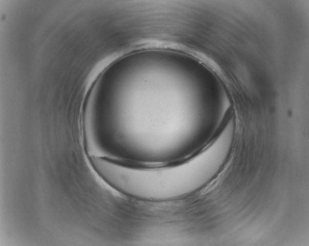 X0000073731247200608031322