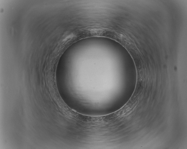 X0000073731249200608031321