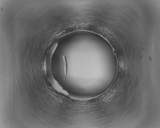 X0000073731252200608031321