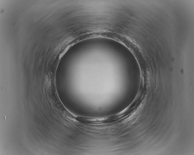 X0000073731257200608031321