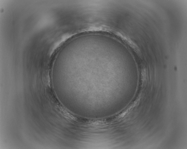 X0000073731262200608031321