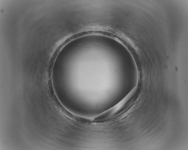 X0000073731264200608031321