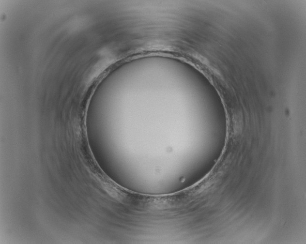 X0000073731266200608031321