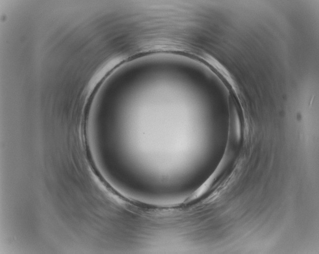 X0000073731293200608031320