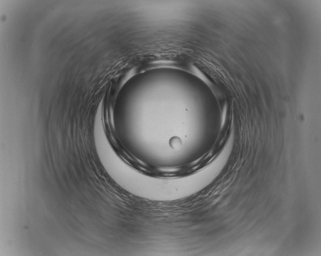 X0000073731298200608031319