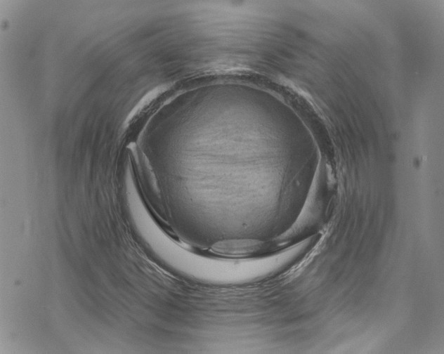 X0000073731306200608031319