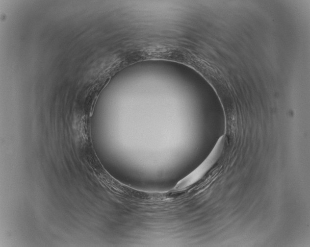 X0000073731346200608031319