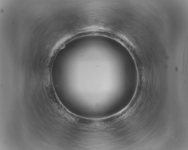 X0000073731358200608031319
