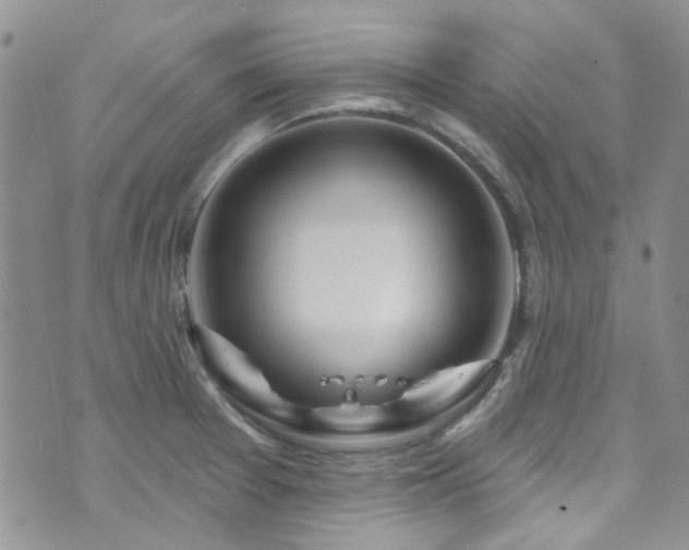 X0000073731377200608031319