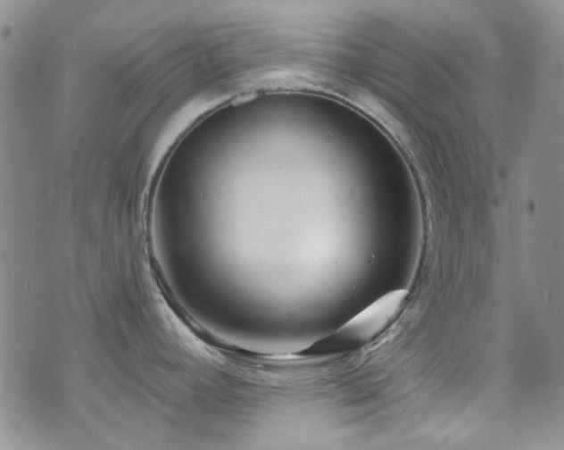 X0000073731392200608031318
