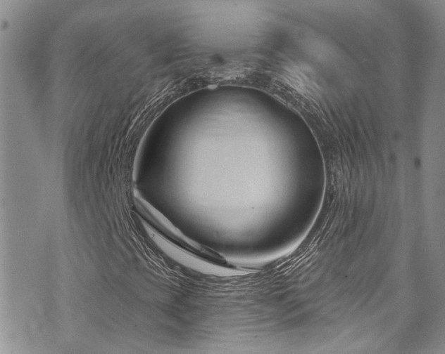 X0000073731393200608031318