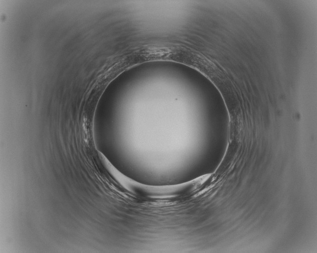 X0000073731394200608031318