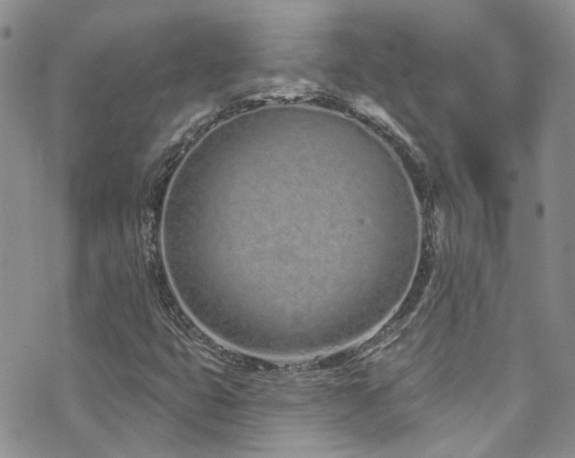 X0000073731399200608031318