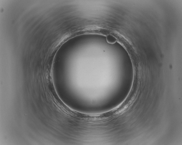 X0000073731401200608031318