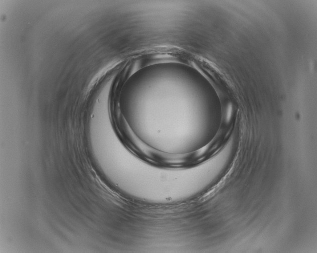 X0000073731402200608031318