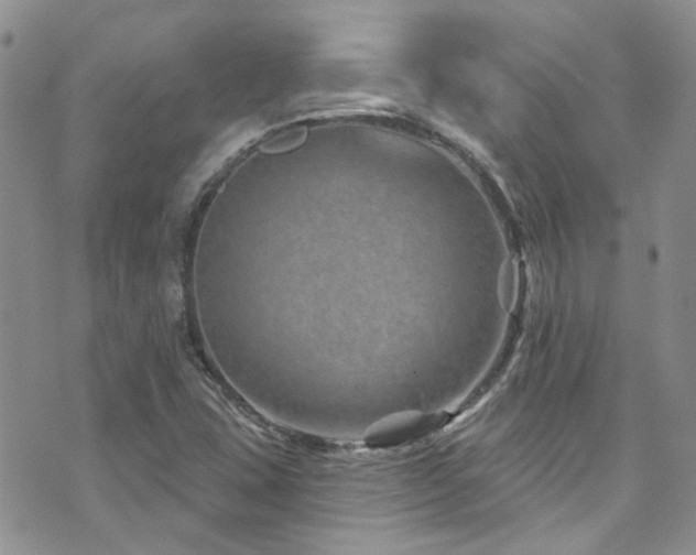 X0000073731407200608031318