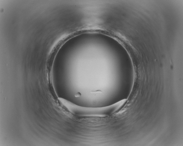 X0000073731408200608031318