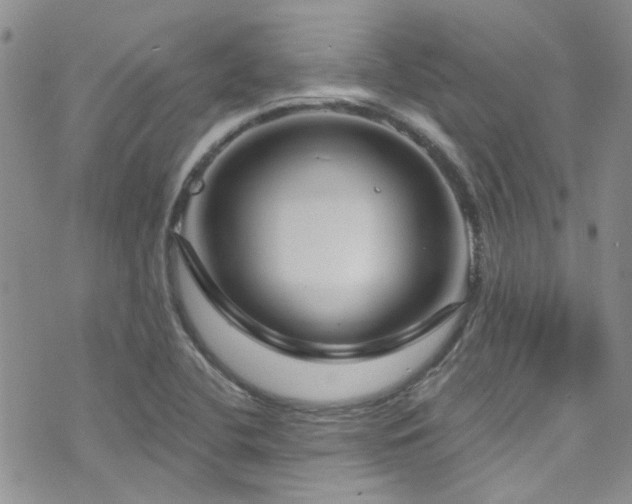 X0000073731412200608031318