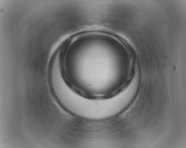 X0000073731414200608031318