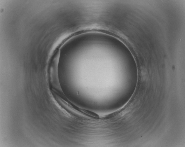 X0000073731416200608031318