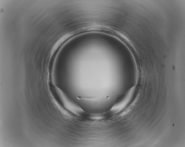 X0000073731418200608031318