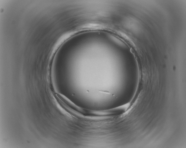 X0000073731421200608031318