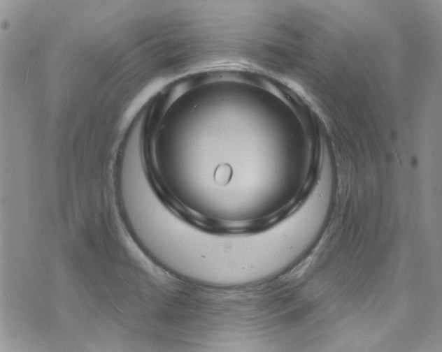 X0000073731422200608031318