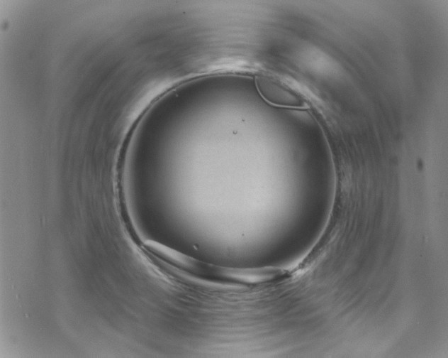 X0000073731423200608031318